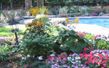 image descroption